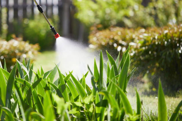 24/7 Emergency Fumigation Services experts in De Pue, IL