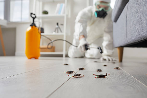Trusted Cockroach Control service in De Pue, IL - Nex Pest Control